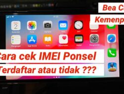 Cara Cek IMEI iPhone terdaftar atau tidak – Cek IMEI Bea Cukai